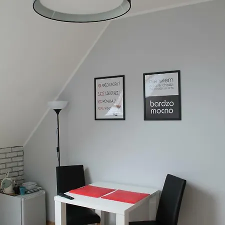 홈스테이 Goscinne Magdalena 드지우노웨크