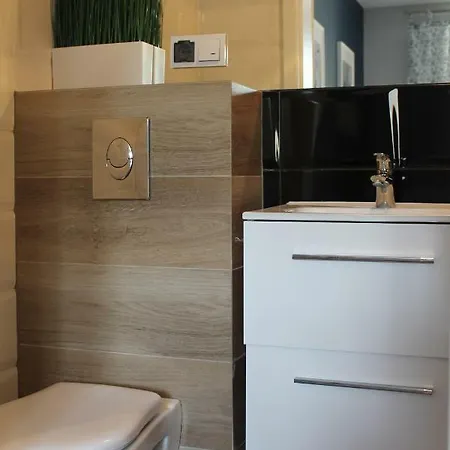 Goscinne Magdalena 드지우노웨크